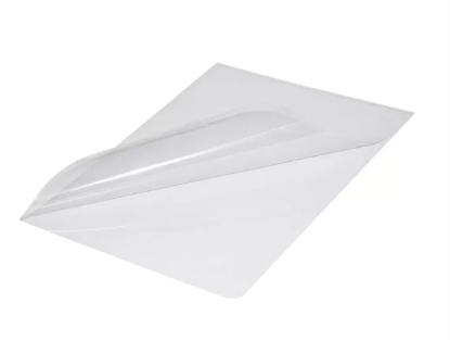 50-Piece Durable Clear Folder, A4 Size, Glass - DUCI2319-19