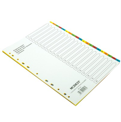 Modest Paper DIVIDER 20 Tab colour with numbers
