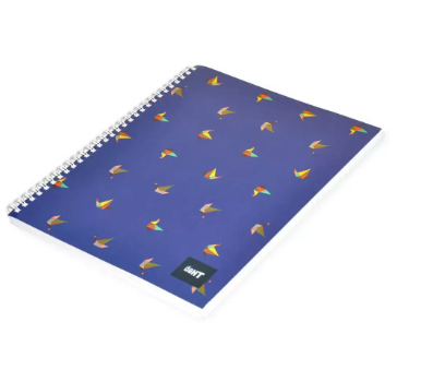 LIGHT Pack of 10 Spiral Soft Cover Notebook, Single Line , 10X8 Inches (25.4 X 20.32 cm) 100 Sheets - LINB1081609S