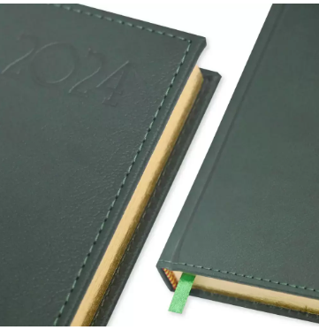 FIS Golden A5 Diary 2024 (English) Green - FSDI26EG24GR