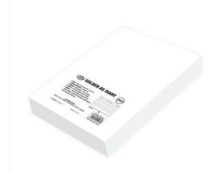 FIS Golden A5 Diary 2023 (English) Brown - FSDI26EG23BR