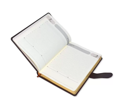 FIS Golden Agenda Diary 2023 (English) Italian PU, 1-Side Padded, Dark Brown - FSDI75EPG23DBR