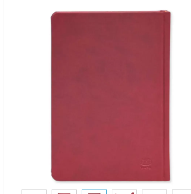 FIS Golden A5 Diary 2024 (Arabic/English) Maroon - FSDI19AEG24MR