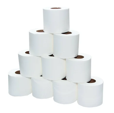 Soft n Cool Toilet Tissues Rolls 2 Ply 350 Sheets 100 Rolls