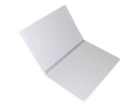 FIS Pack Of 5 Spiral Hard Cover Notebook, 96 Sheets A4 Dolphin Design 1 -FSNBSHCA496-DOL1