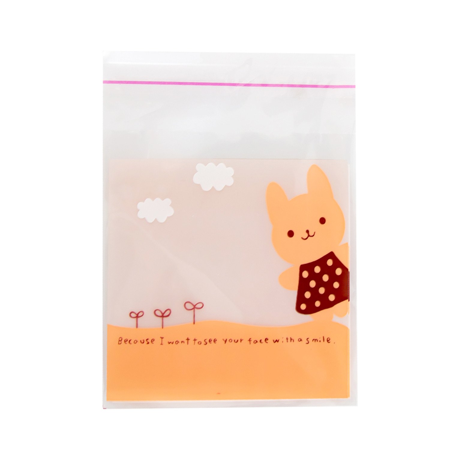 Cookies Plastic Bag