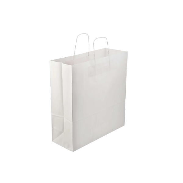 White Twisted Handle Paper Bag