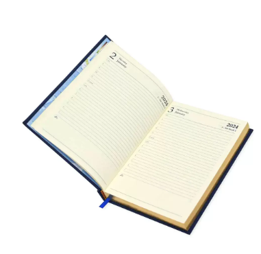 FIS Golden A5 Diary 2024 (English) Blue - FSDI26EG24BL