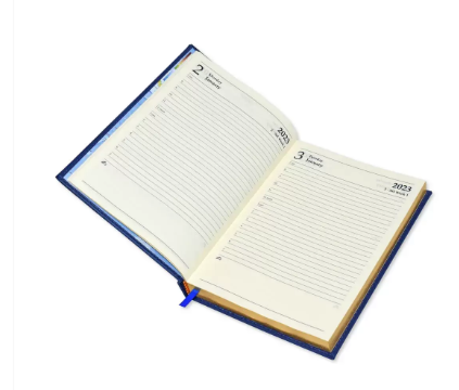 FIS Golden A5 Diary 2023 (English) Brown - FSDI26EG23BR