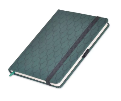 FIS Notebook With Elastic Band Italian PU Cover, Ivory Paper, Single Ruled, Green Color, 96 Sheets, Pen Holder With Gift Box, 13 x 21 cm Size - FSNBEX13X21GRD1