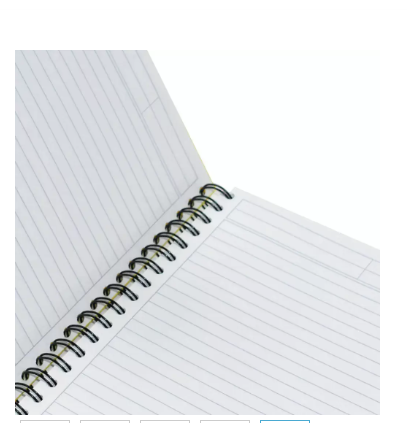 FIS Pack of 5 Spiral Hard Cover Notebook 9X7 Inches (22.86 X 20.32 CM) Single Line,With Border,200 Sheets-Assorted Color -FSNBS97N200ASST