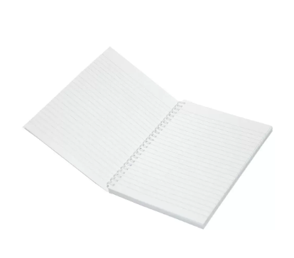 Light LINB1081804S Spiral Cover Notebook (Pack of 10 Pieces x 100 Sheets, 10x8in)