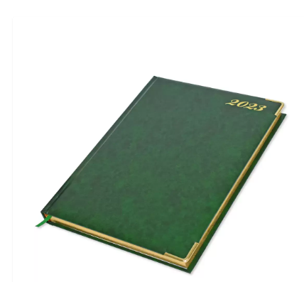 FIS Golden Executive Daily Diary 2023 (English) Green - FSDI88EG23GR