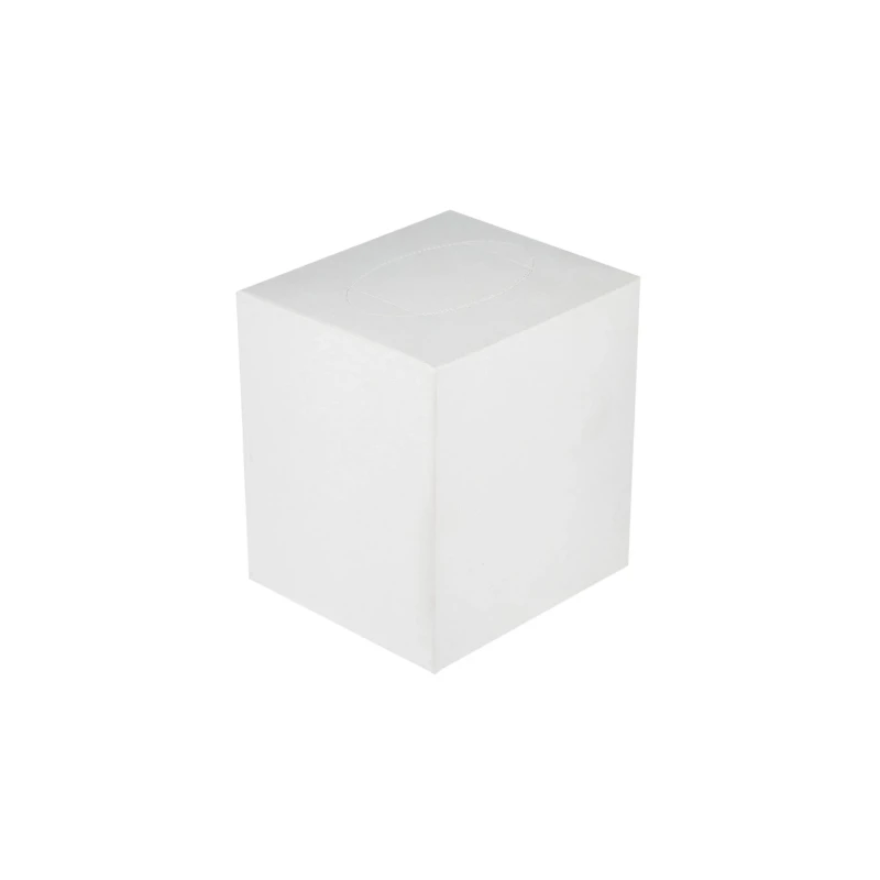 Square Boutique Facial Tissues