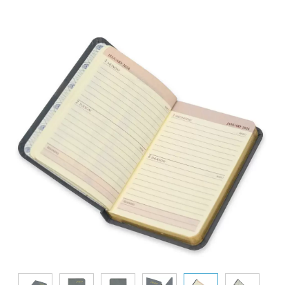FIS Golden Bonded Leather Pocket Diary 2024 (English) Grey - FSDI10EGB24GY