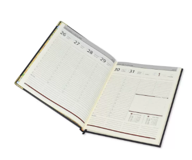 FIS Executive Diary 2023 English/French (1-Week at a glance) Blue - FSDI35EPN23BL