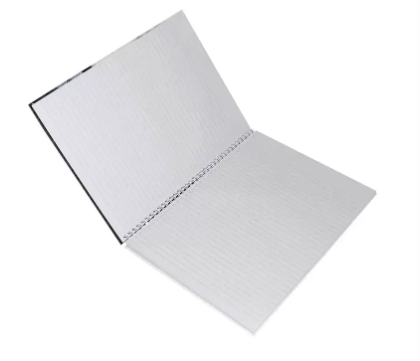 FIS Pack Of 5 Spiral Hard Cover Notebook, 96 Sheets A4 Panda Design 4 -FSNBSHCA496-PAN4