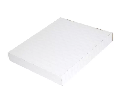 50-Piece Durable Clear folders, A4 size, Green Colour - DUCI2339-05