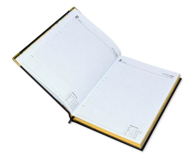 FIS Golden Executive Daily Diary 2023 (English) Blue - FSDI88EG23BL