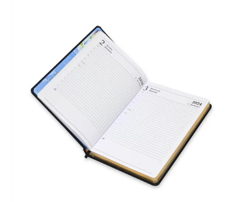 FIS Golden Diary 2024 (English) Black, A5 - FSDI23EG24BK