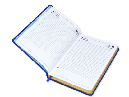 FIS Golden Diary 2023 (English) Brown, A5 - FSDI23EG23BR