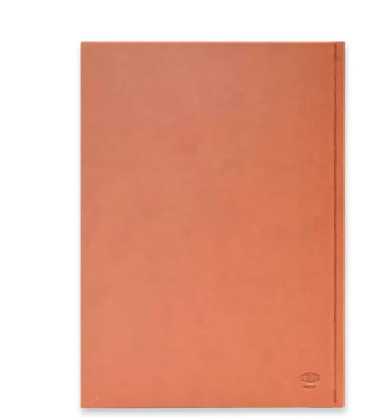 FIS A4 Diary 2024 English (Saturday & Sunday Combined) Brown - FSDI48EP24BR
