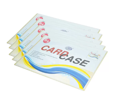 20-Piece FIS Card Case Clear B4 - FSCIB4