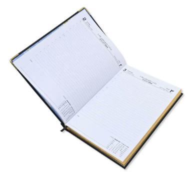 FIS Golden Executive Daily Diary 2024 (Arabic/English) Black - FSDI88AEG24BK