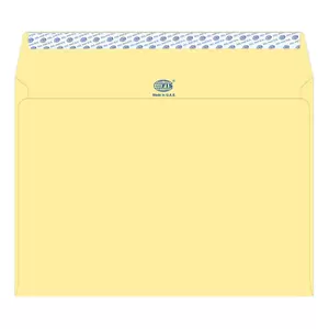 FIS Executive Laid Paper Envelopes Peel & Seal, Pack of 25 Pcs. Cream Color, C4 (229 x 324 mm) Size, 100 GSM - FSEE1042PCRB25
