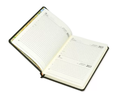 FIS Diary 2023 English (Saturday & Sunday Combined) A5, Blue - FSDI94E23BL