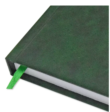 FIS Agenda Diary 2024 (English) 1-Side Padded, Gold Corners, Green - FSDI75EVG24GR