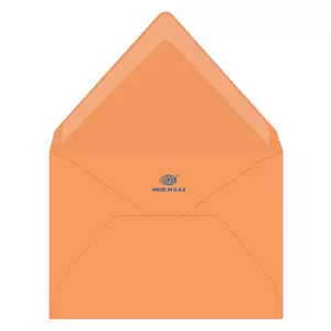 FIS Color Envelopes, Glued, Neon Orange Colors, Pack of 50 Pcs. 136 x 204 mm, 80 GSM - FSEC8024GBOR50