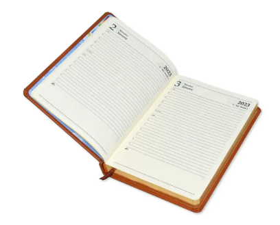 FIS Golden A5 Diary 2023 (English) Dark Brown - FSDI19EG23DBR