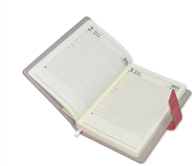 Fis 2023 A5 Diary English Vinyl Hard Sewn Cover Pink -FSDI80E23PI