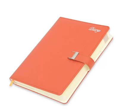 Fis 2024 Agenda Diary English With Gift Box -FSDI87E24D18N