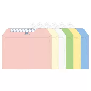 FIS Executive Laid Paper Envelopes Peel & Seal, Pack of 25 Pcs. 6 Assorted Colors, C5 (162 x 229 mm) Size, 100 GSM - FSEE1026PB625