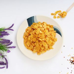 Royalford 10" Melamine Ware Super Rays Flat Plate - Melamine - Beige - RF8023