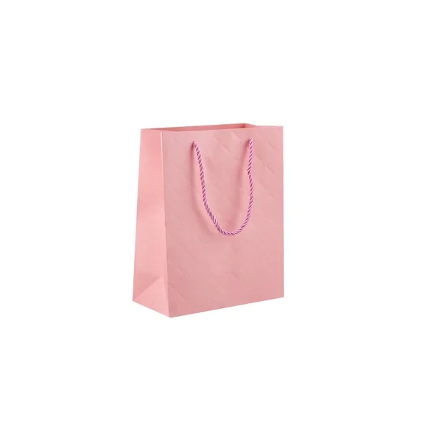 Gift Pink Paper Bag 20x10x25 Cm 10 Piece