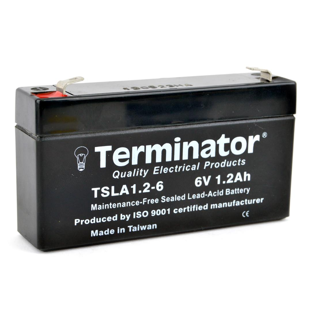 SLA Battery 6V-1.2Ah (Taiwan)
