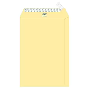 FIS Laid Paper Envelopes Peel & Seal, Pack of 50 Pcs. Cream Color, 10 x 7 Inch, 100 GSM - FSEE1033PBCR50