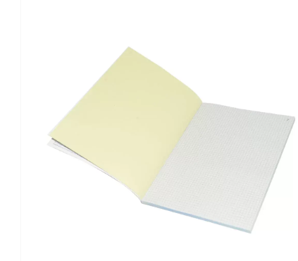 10-Piece FIS French Duplicate Books, NCR Paper (50 Sets) 5mm Square, Original with 1 Duplicate, A4 Size - FSDUA45MMNCR