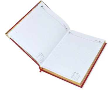 FIS Golden Executive Daily Diary 2023 (English) Red - FSDI88EG23RE
