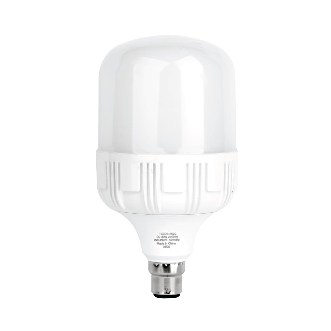 LED Bulb 30W Day Light B22