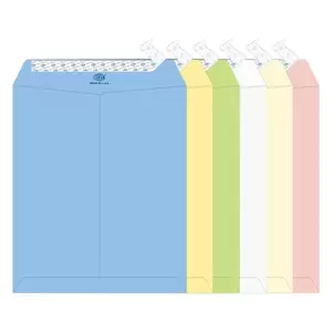 FIS Executive Laid Paper Envelopes Peel & Seal, Pack of 25 Pcs. 6 Assorted Colors, 12 x 10 inch Size, 100 GSM - FSEE1034PB625