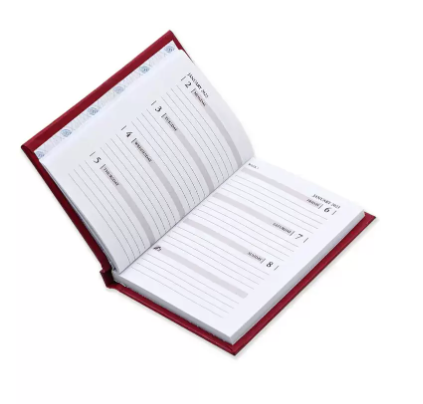 Fis 2023 Pocket Diary English Vinyl 1 Side Padded Week View Maroon -FSDI12E23MR