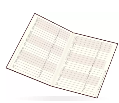 FIS Golden Address Books English Bonded Leather 3 Sides Gilded, 64 Sheets, 165 x 165 mm - FSAD165X165EG