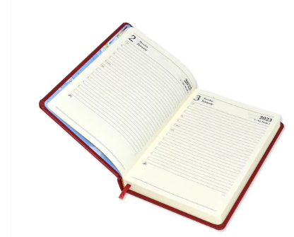 FIS Golden A5 Diary 2023 (English) Black - FSDI19EG23BK