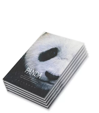 FIS Pack Of 5 Hard Cover Notebook, 96 Sheets A4 Panda Design 4 -FSNBHCA496-PAN4