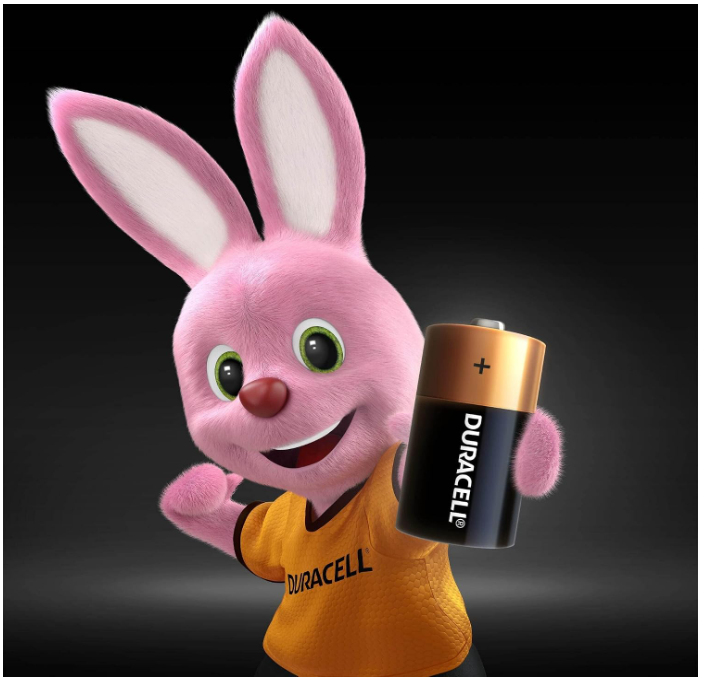 Duracell 1.5 V Alkaline C2 Battery | Pack of 2