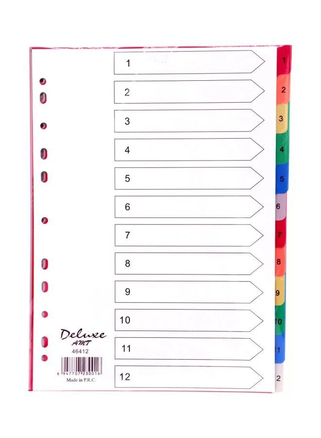 Deluxe 10-Piece A4 Paper Divider Multicolour